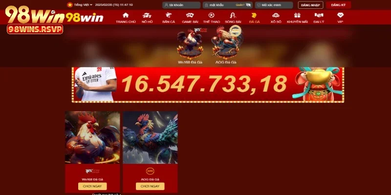 98Win 44 Trực tiếp đá gà kịch tính